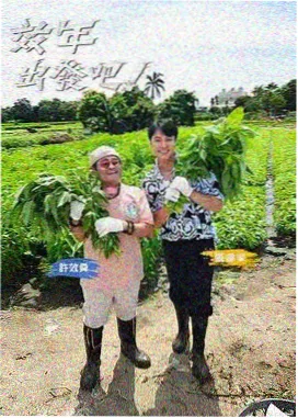 益智综艺